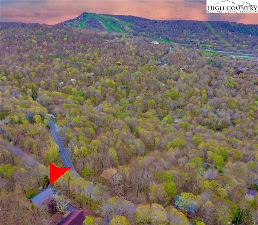 The Buc's Den Chalet in Beech Mountain