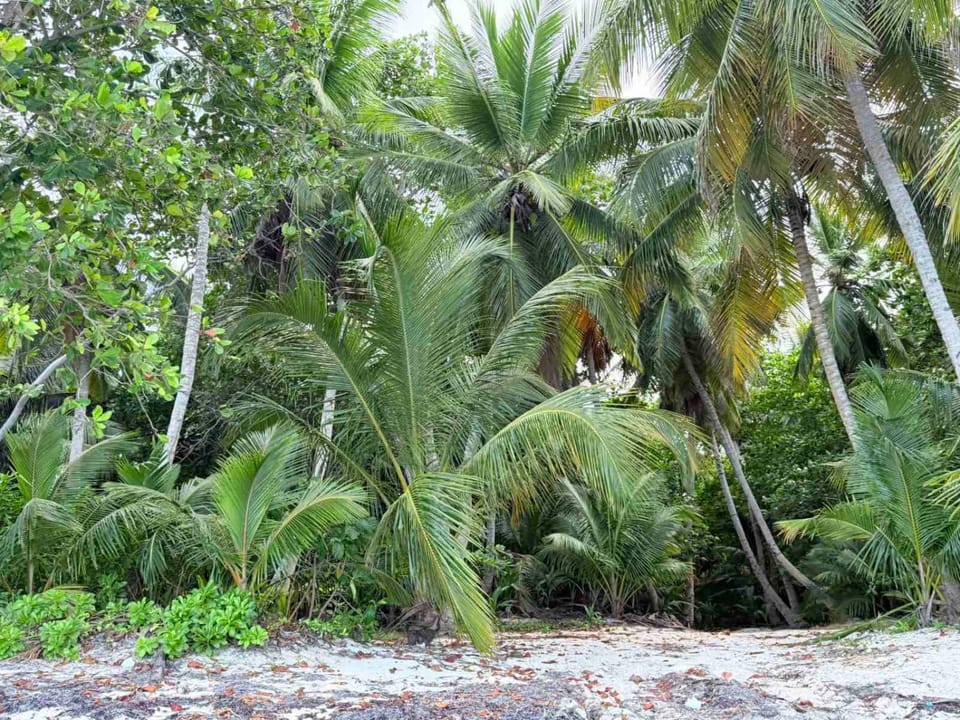 Natural landscape