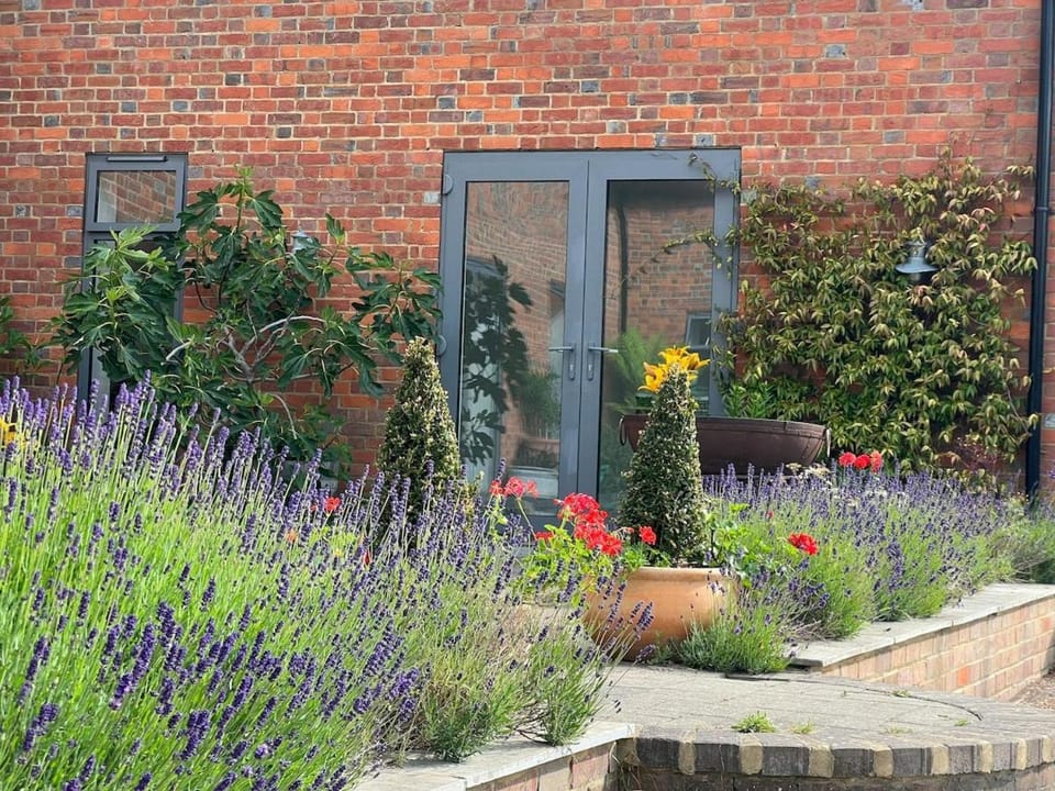 Property building, Garden, Garden view