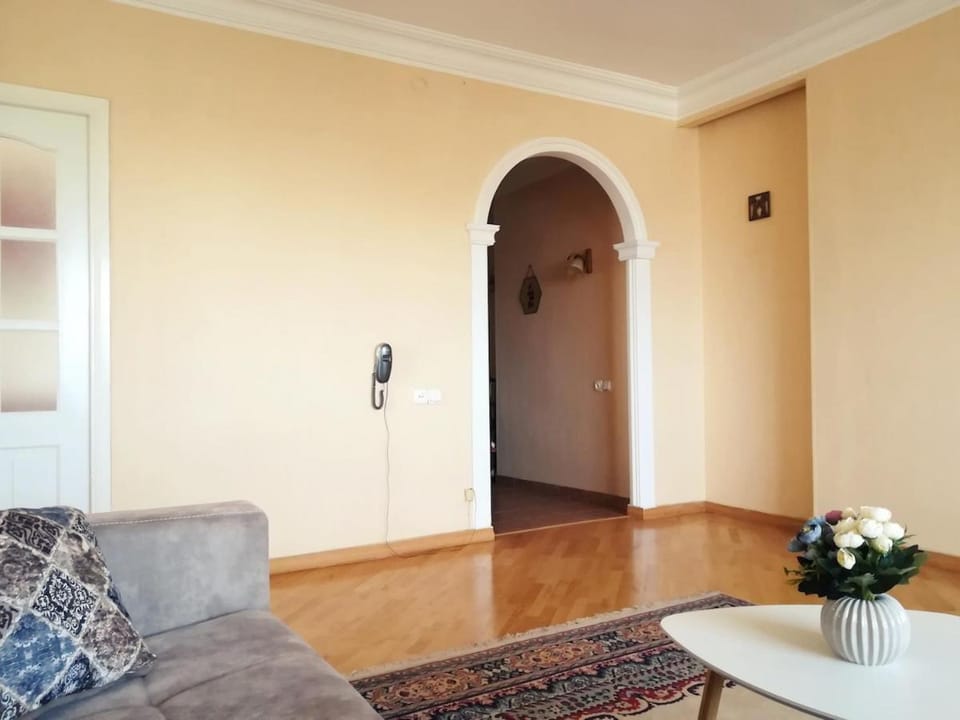 Ararat view Apartment in Yerevan