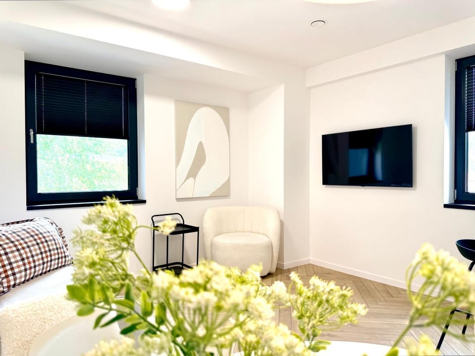 TV and multimedia, Photo of the whole room, Seating area