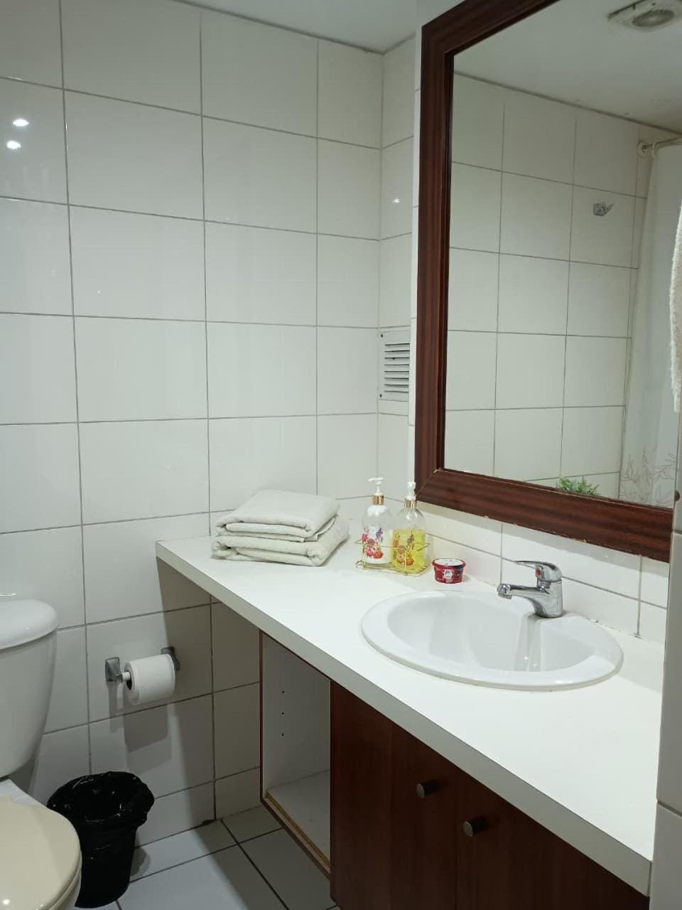 Apartsantiago Apartment in Santiago