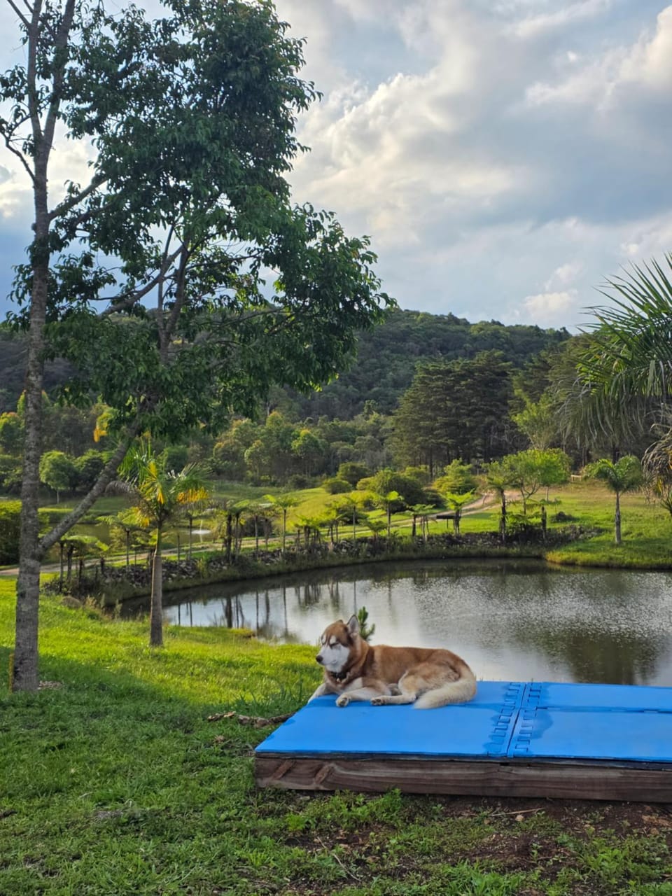 Fazenda Terra Nova camping Campground/ 
RV Resort in State of Minas Gerais, Brazil