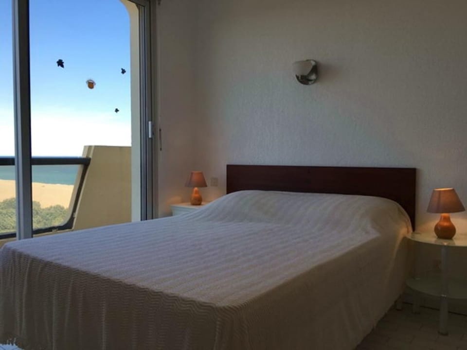 Appartement 3 pièces en bord de mer, terrasse, animaux admis, parking Apartment in Argeles-sur-Mer