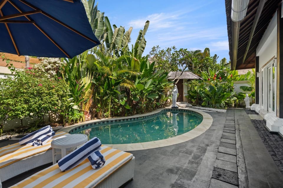 Garden, Swimming pool, sunbed
