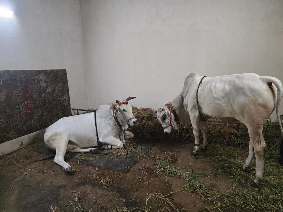 Radha Krishna Abode House in Andhra Pradesh