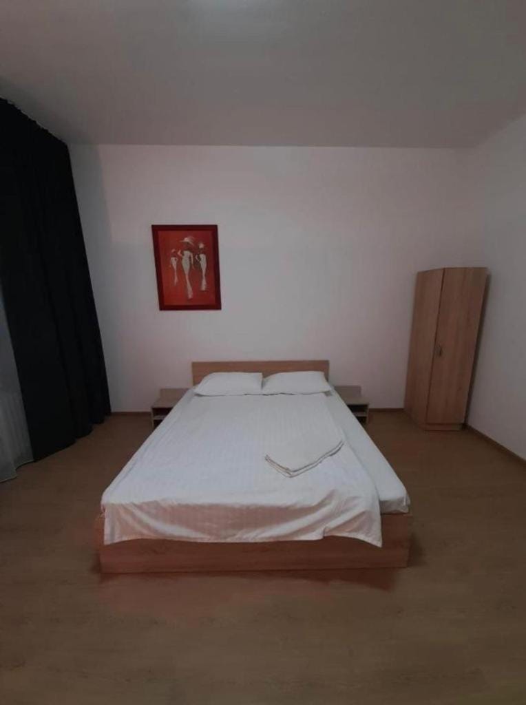 Unirii Square Apartament Apartment in Timisoara