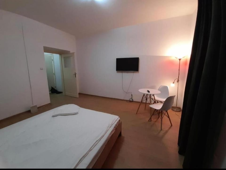 Unirii Square Apartament Apartment in Timisoara