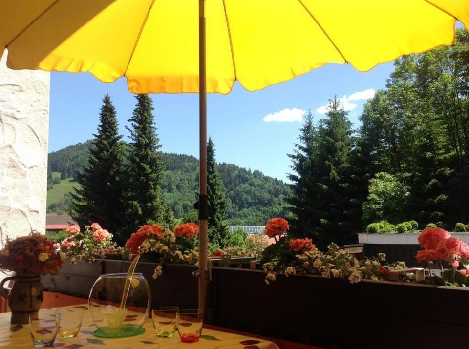 Noppel Jürgen - Ferienwohnung Apartment in Oberstaufen