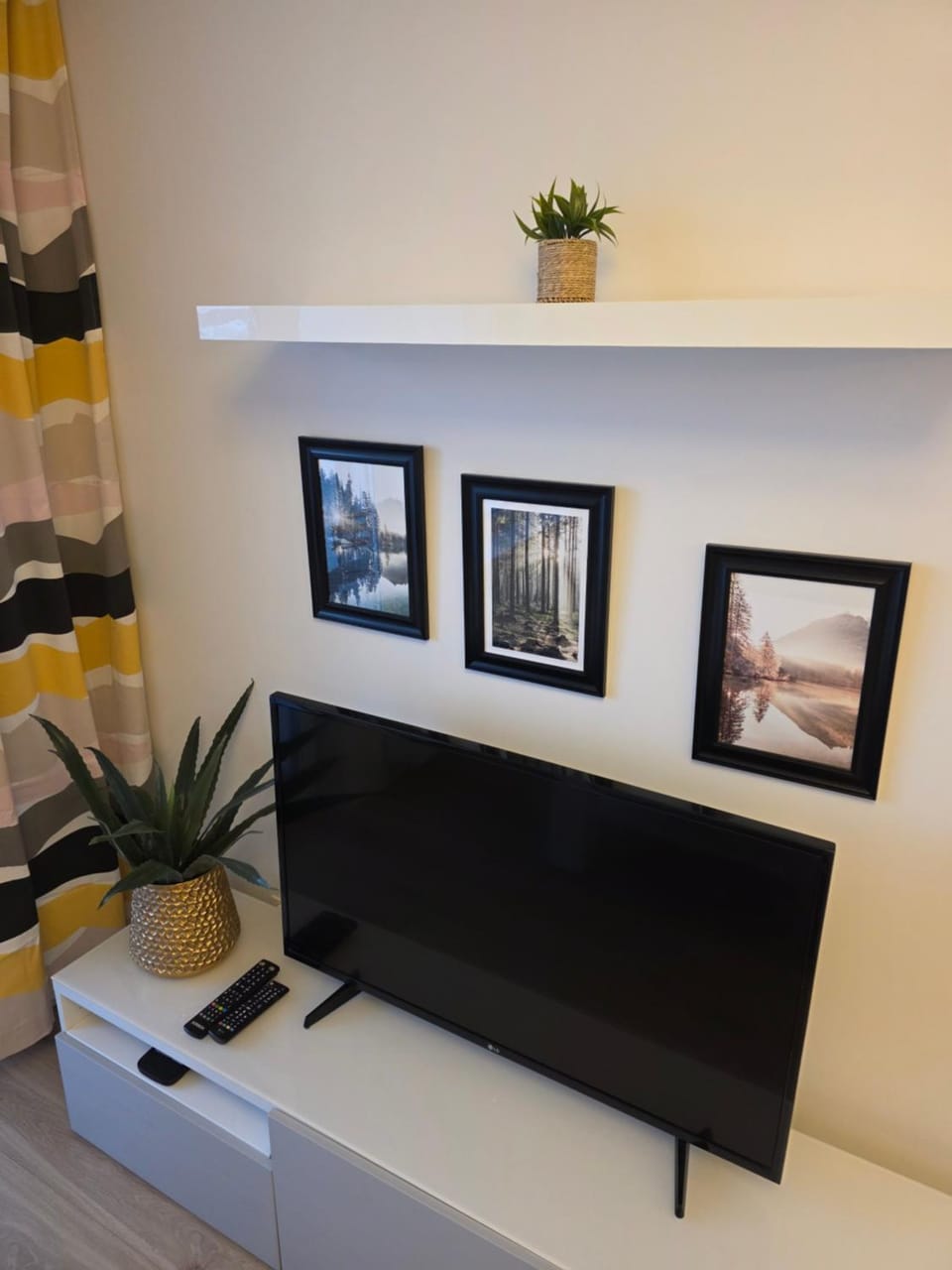 TV and multimedia