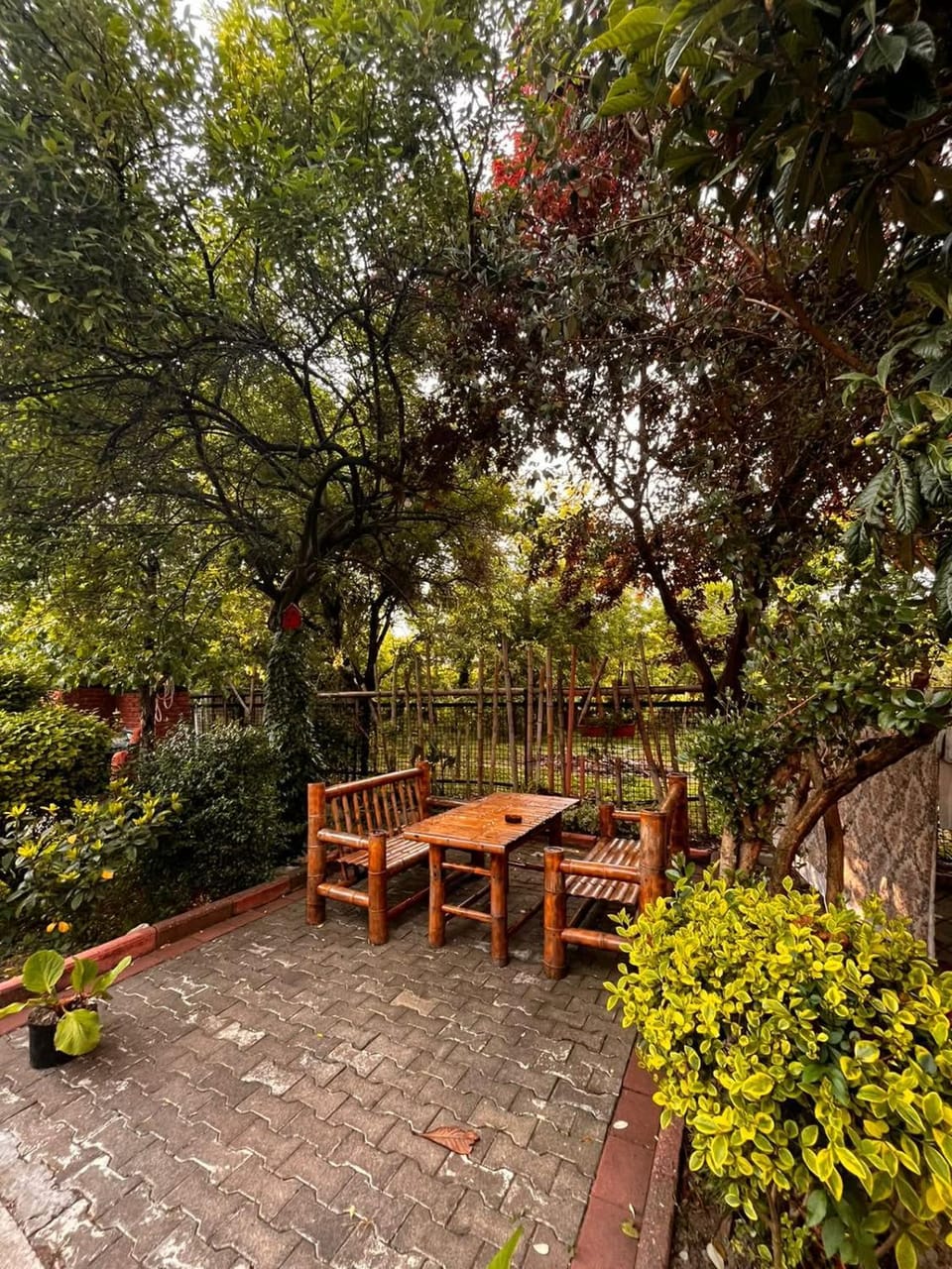 Garden