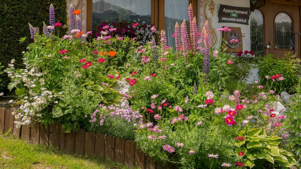Spring, Garden
