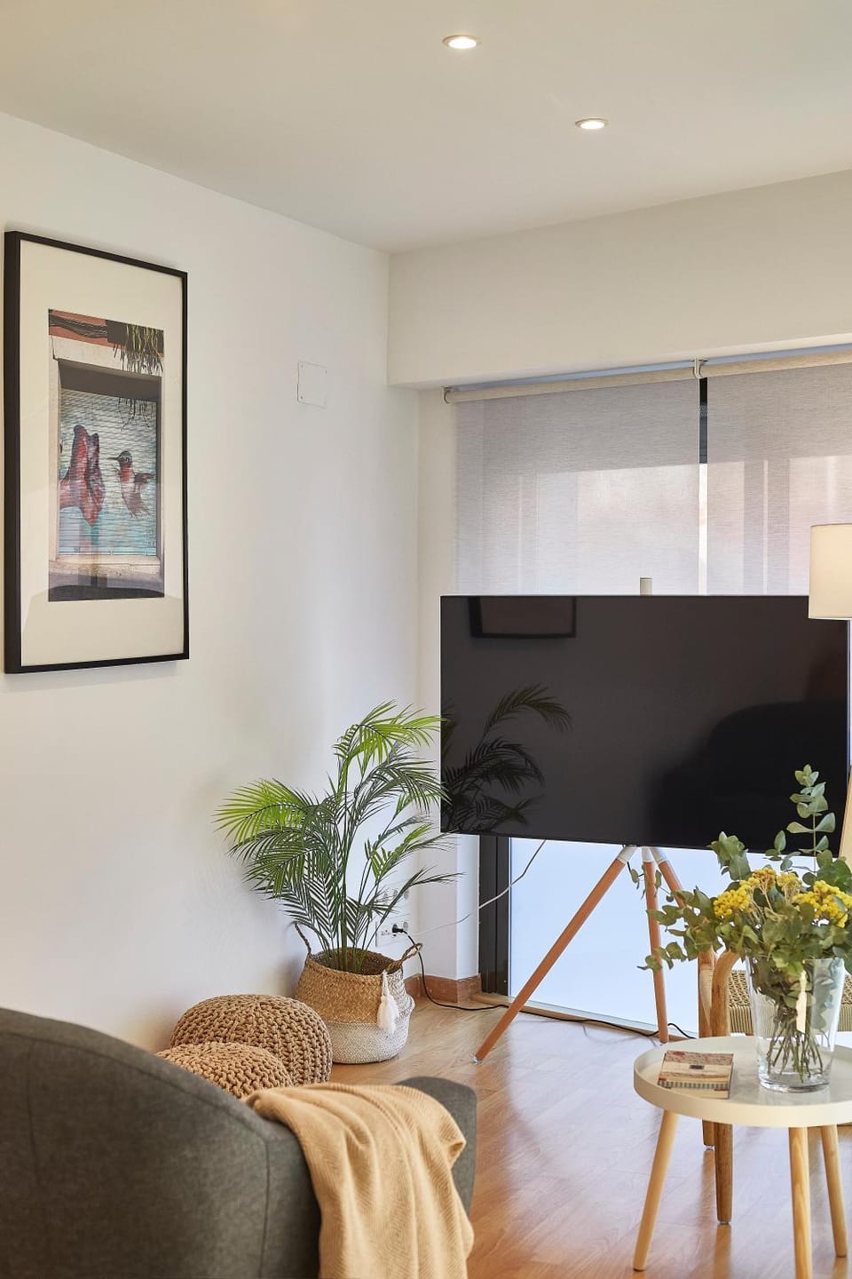 TV and multimedia