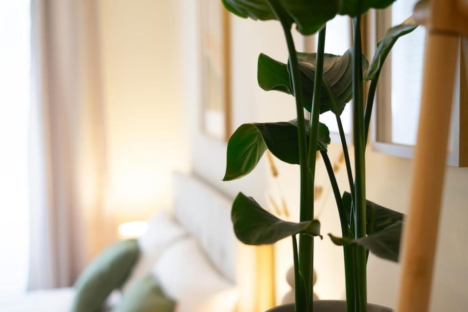 Gemütliches Studio im Zentrum Lüneburgs Apartment in Lüneburg