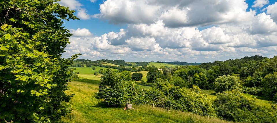 Natural landscape, View (from property/room)