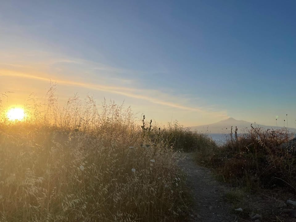 Natural landscape