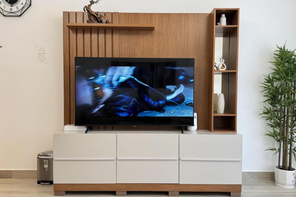 TV and multimedia