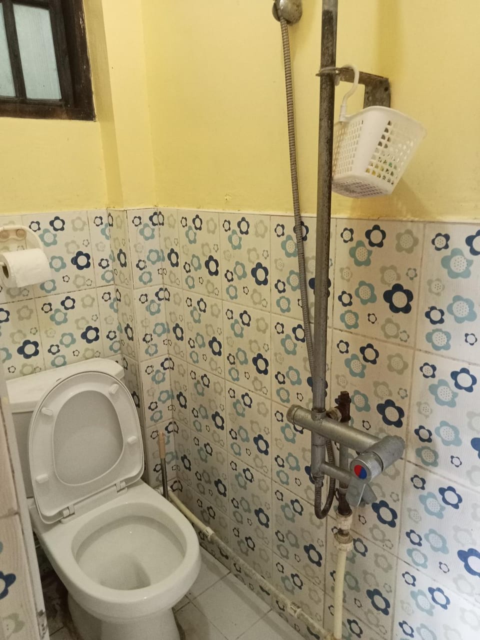 Toilet