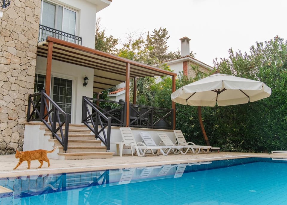 Property building, Patio, Swimming pool