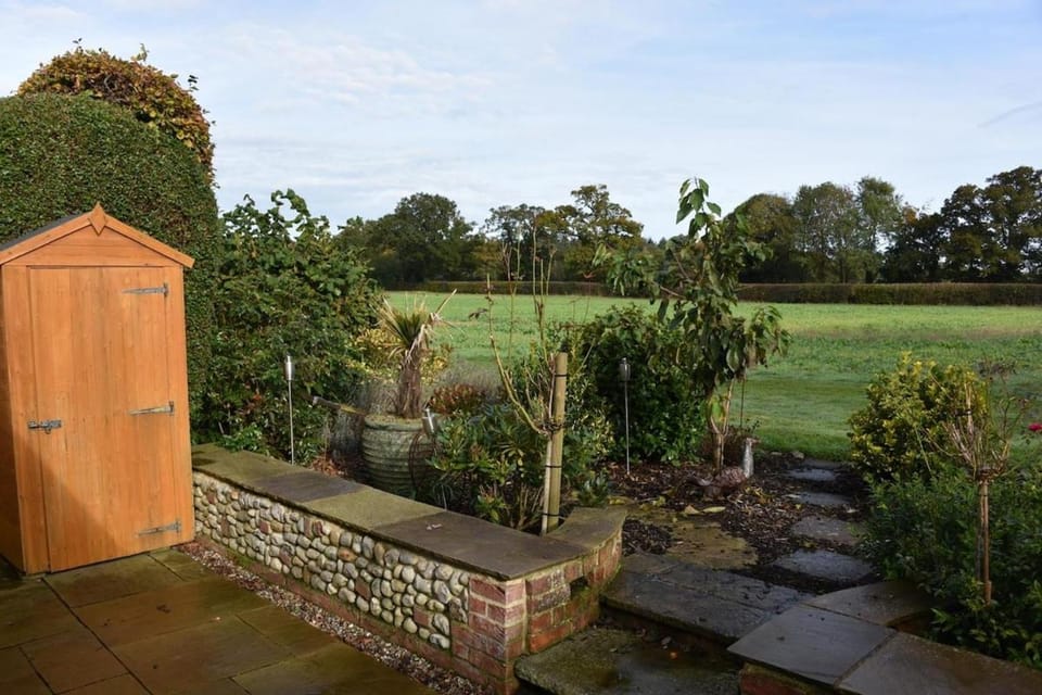 Spring, Natural landscape, Garden, Garden view