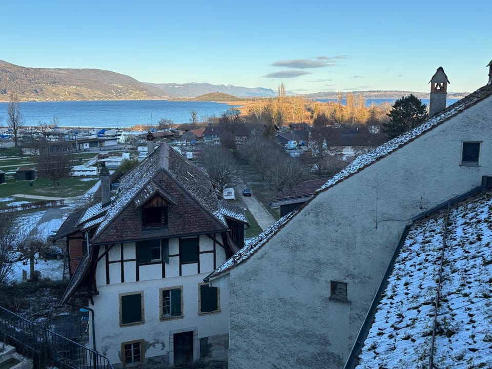 Lake view