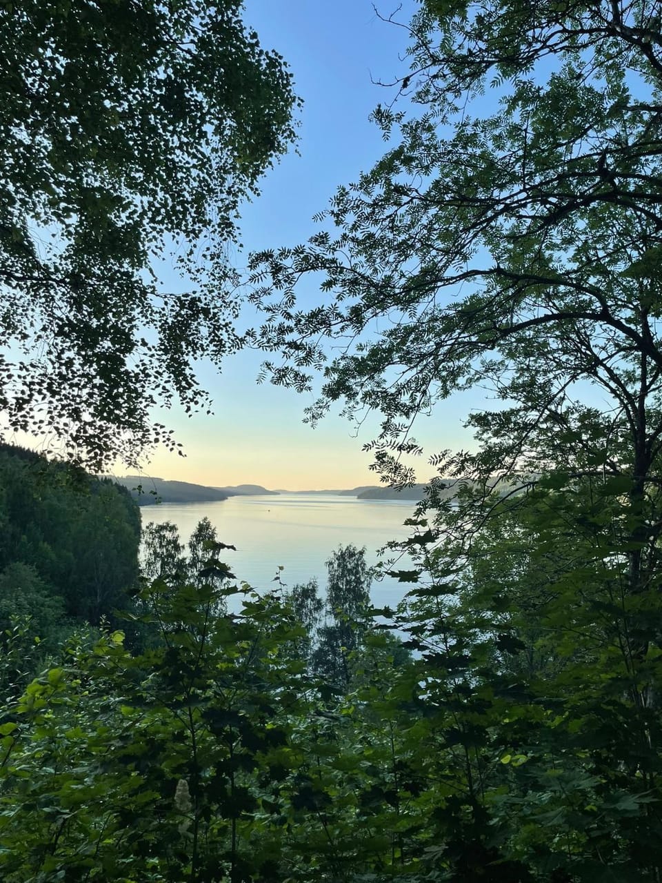 View (from property/room)