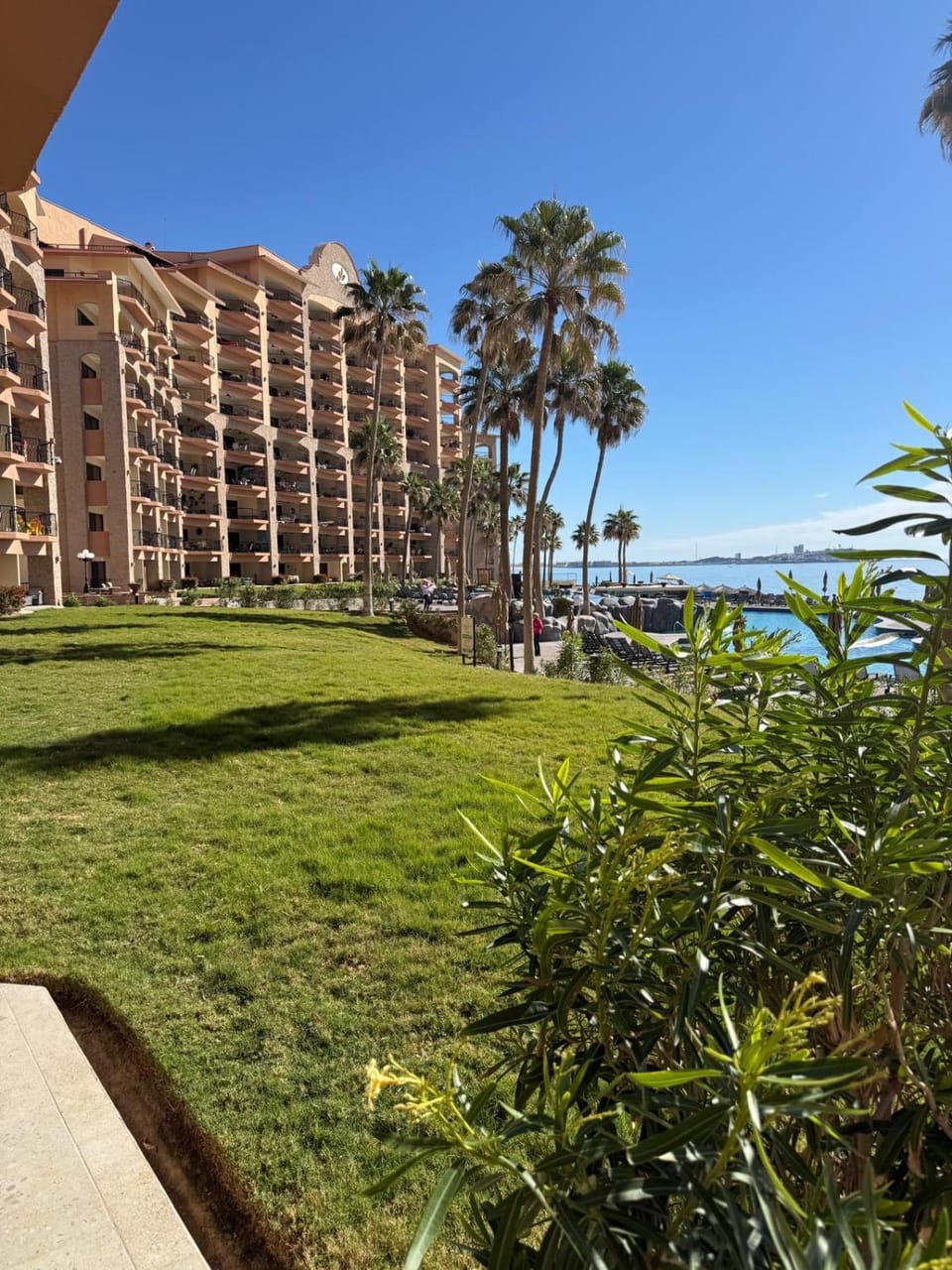Garden view