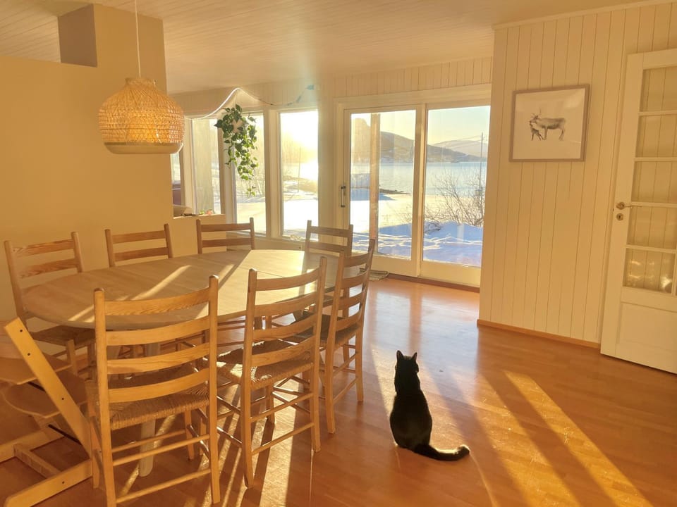 Aurora beach house House in Troms Og Finnmark
