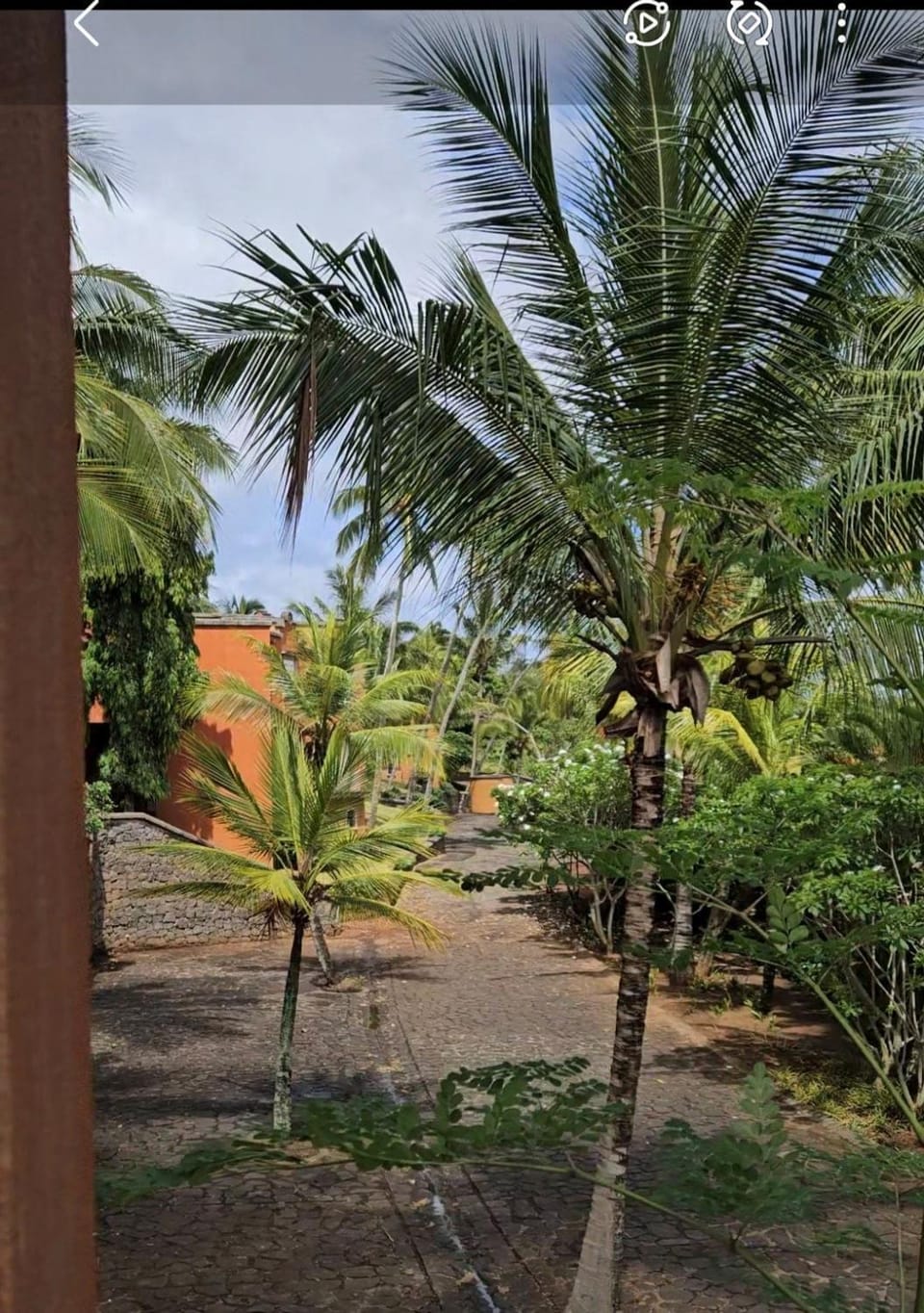 View (from property/room), Garden view