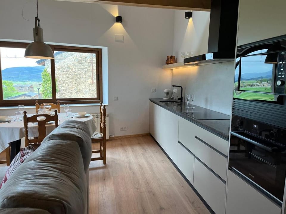 Kitchen or kitchenette, kitchen