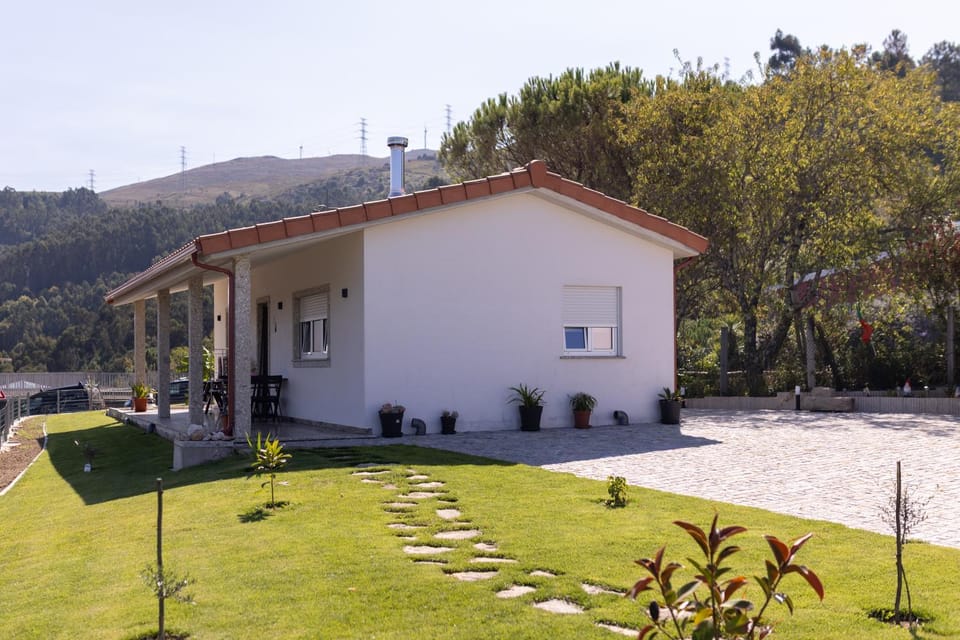 Day, Natural landscape, Garden, Garden view