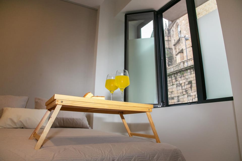 Apartamentos ÍCARO Apartment in Plasencia