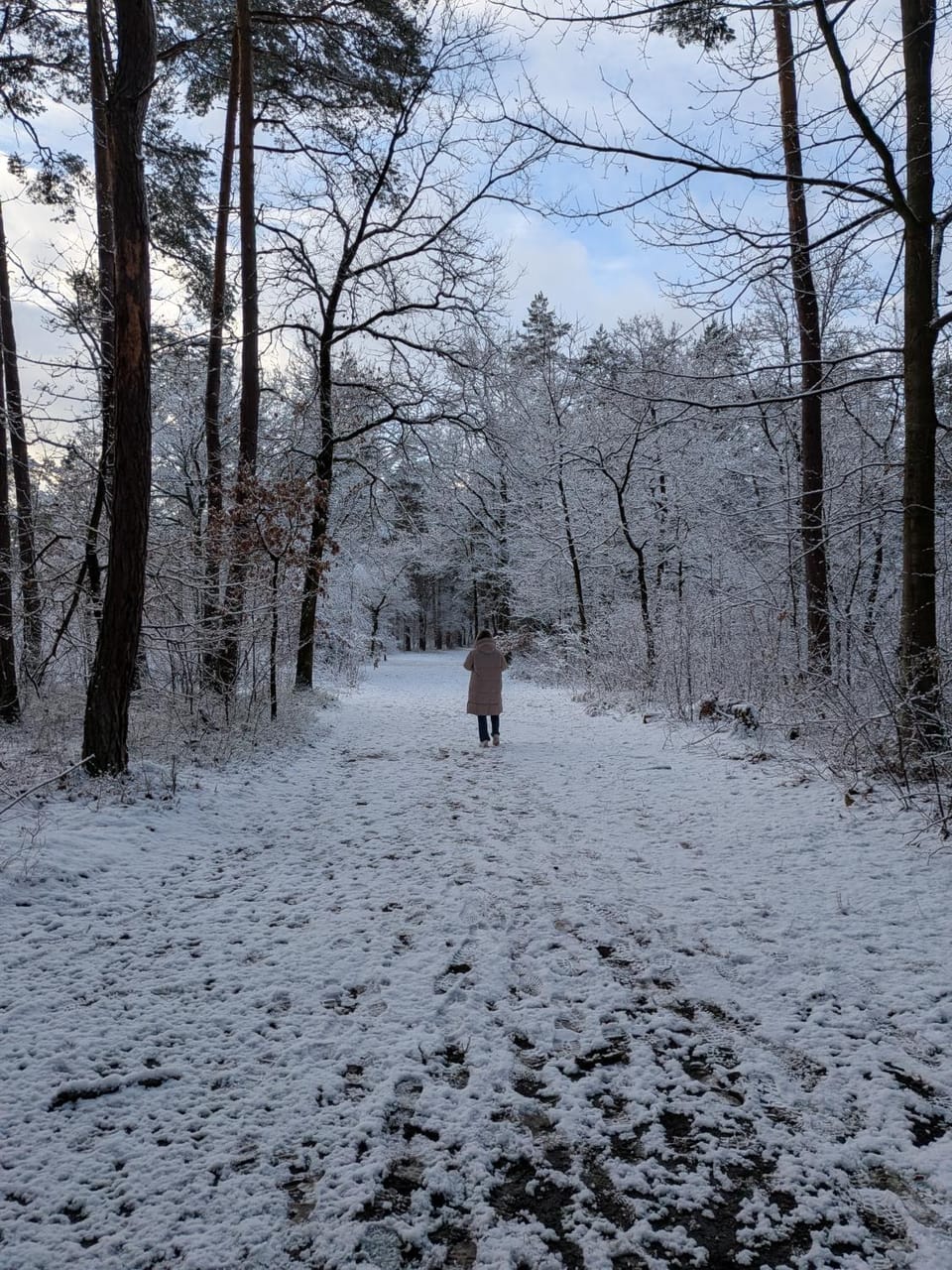 Winter