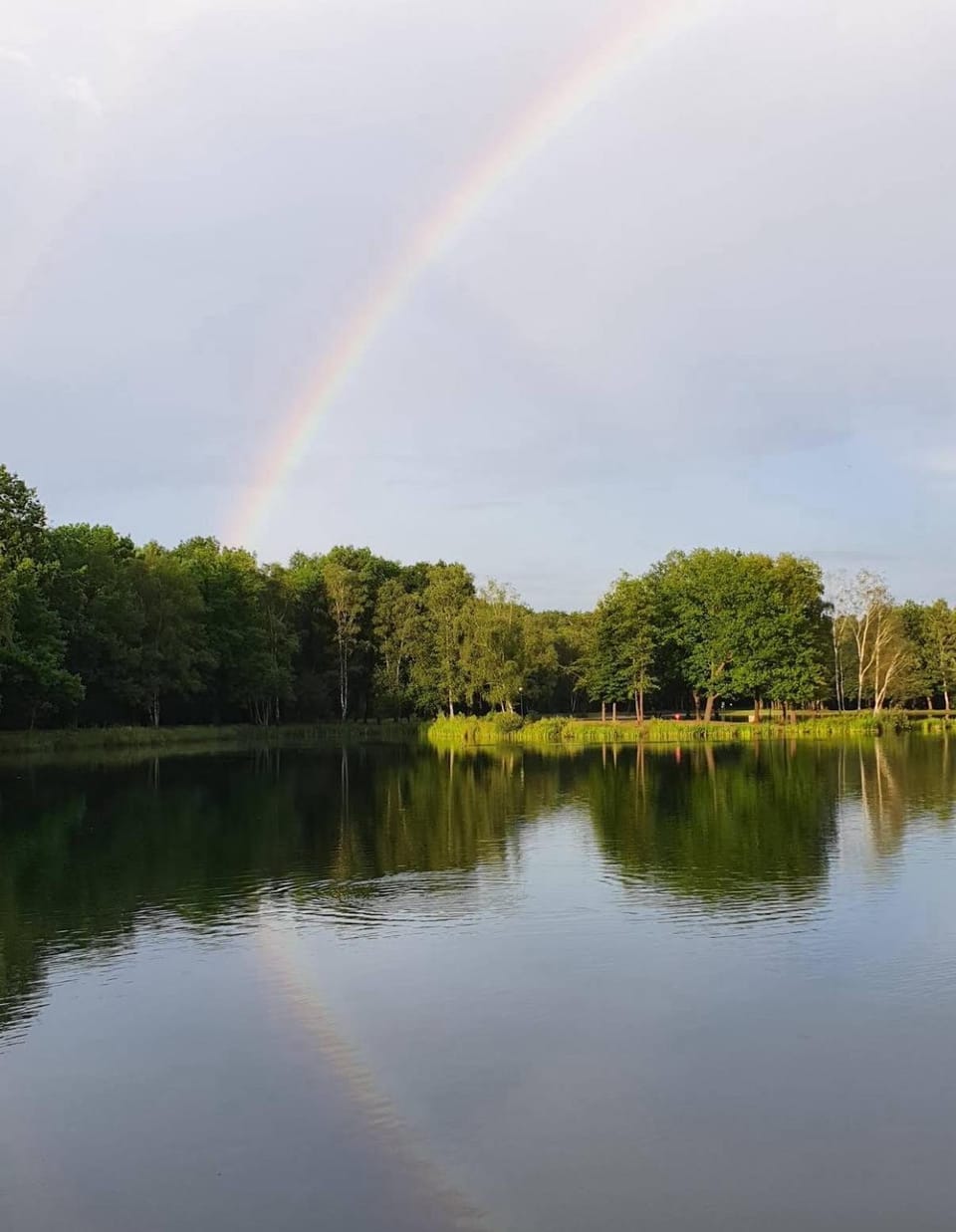 Natural landscape, Lake view