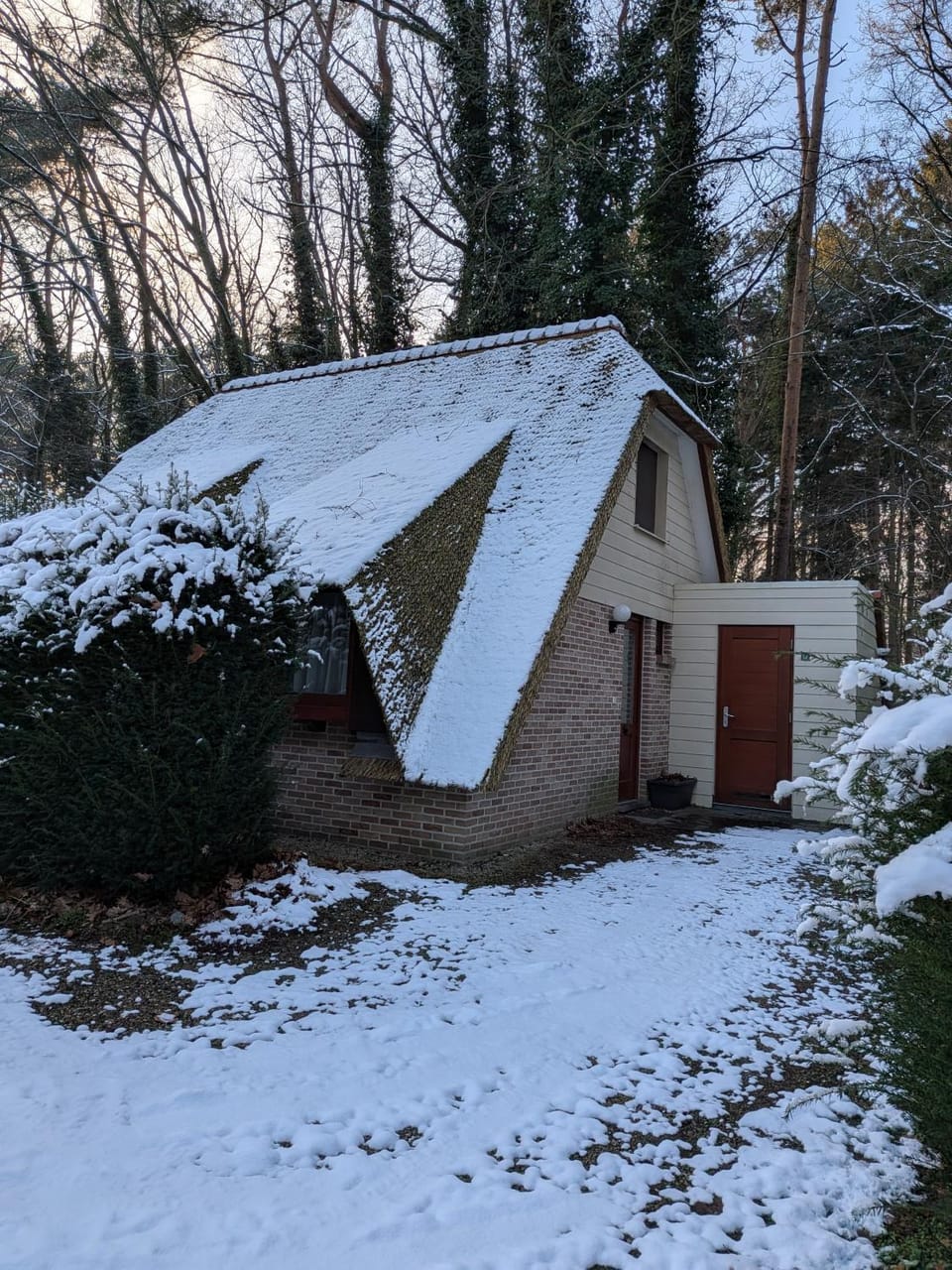 Winter