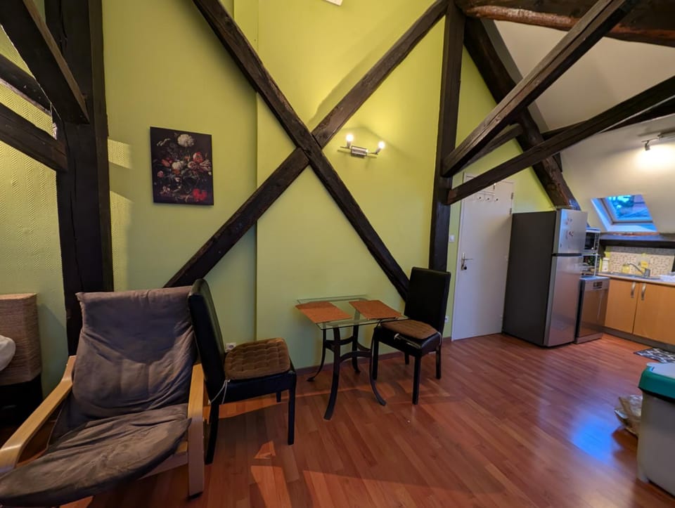 Grand Studio Climatisé en combles à 2 pas de la gare de NANCY Apartment in Nancy