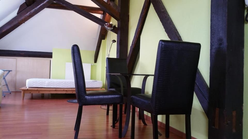 Grand Studio Climatisé en combles à 2 pas de la gare de NANCY Apartment in Nancy