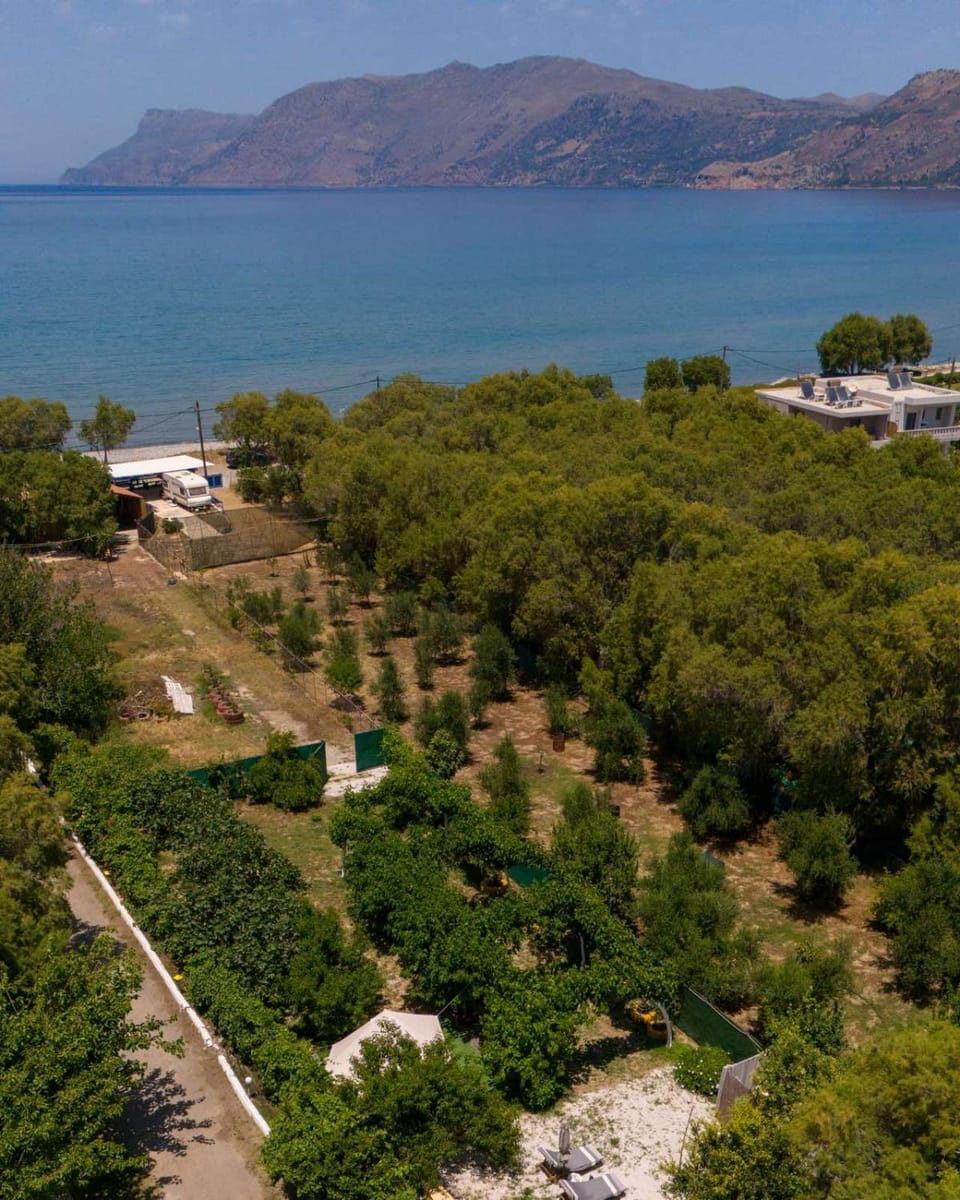 Sea view