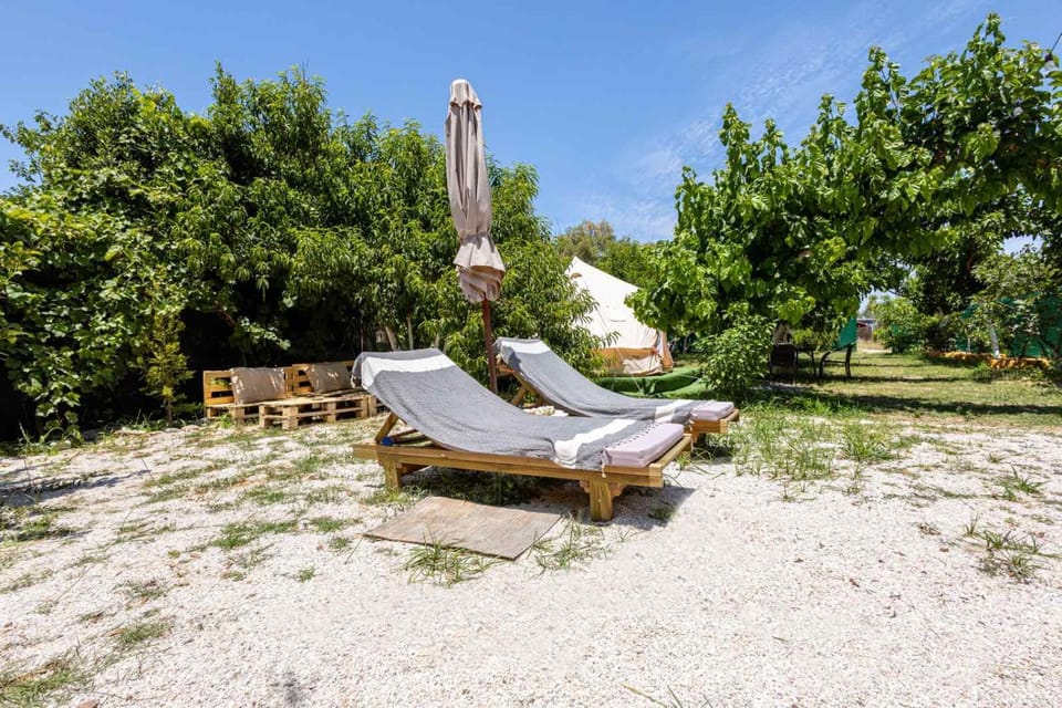 Garden, sunbed