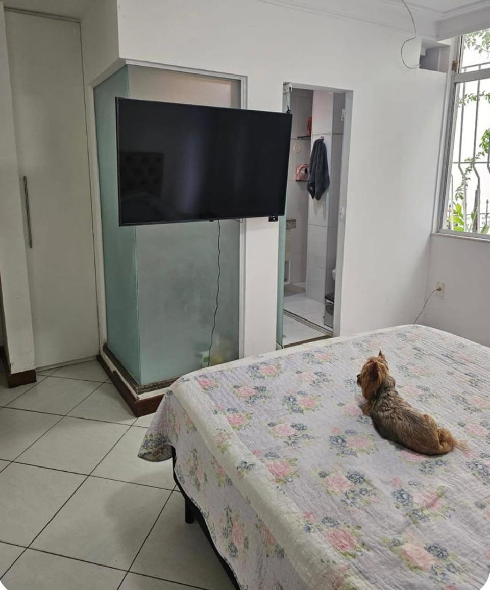 Carnaval Salvador AP Graça Apartment in Salvador