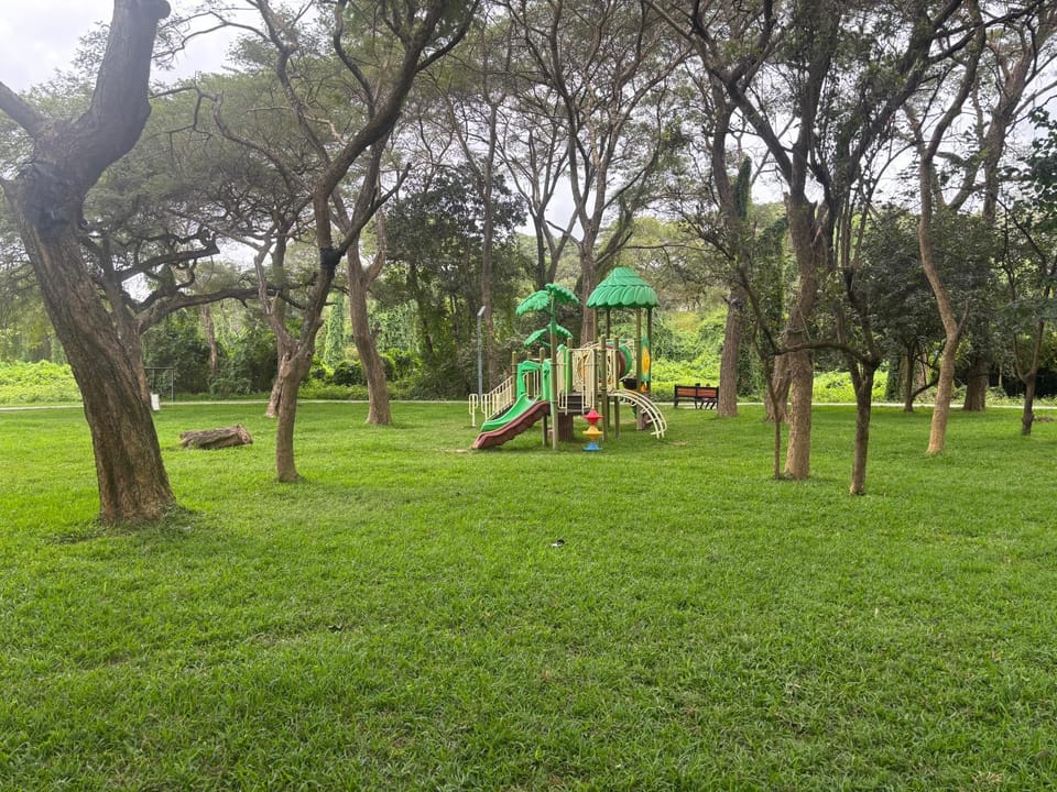 Children play ground