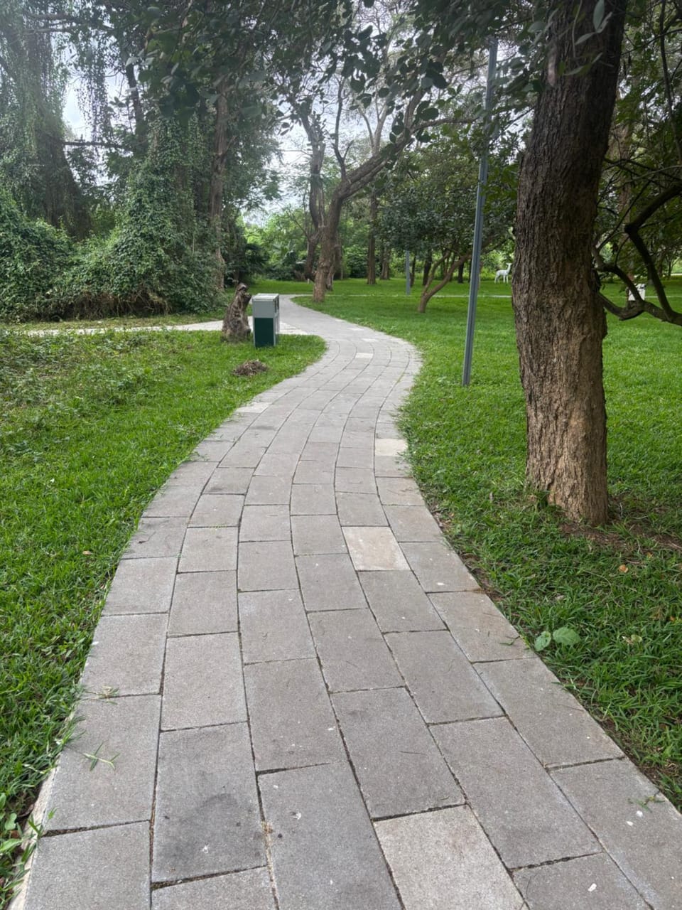 Natural landscape