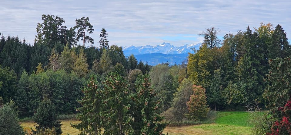 View (from property/room)