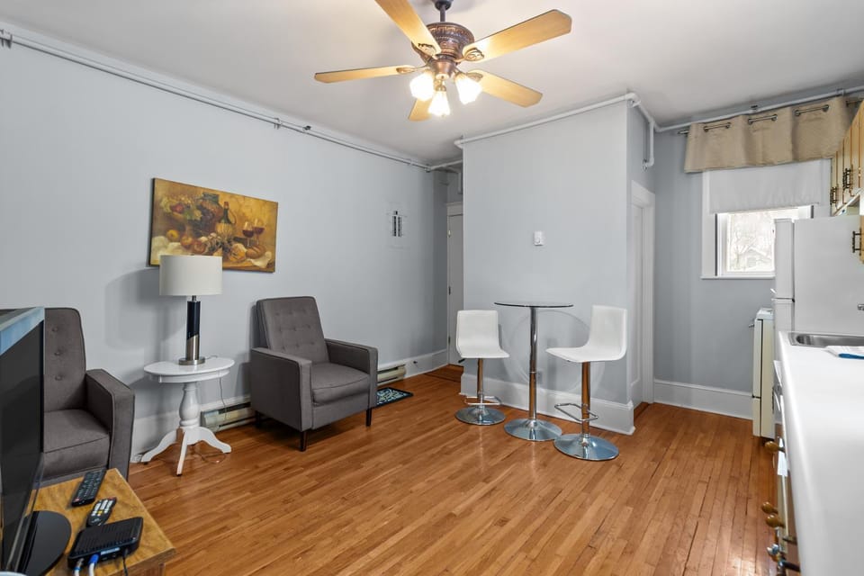 The Fogo Cozy 1BR Parking Wi-Fi Apartment in St Johns