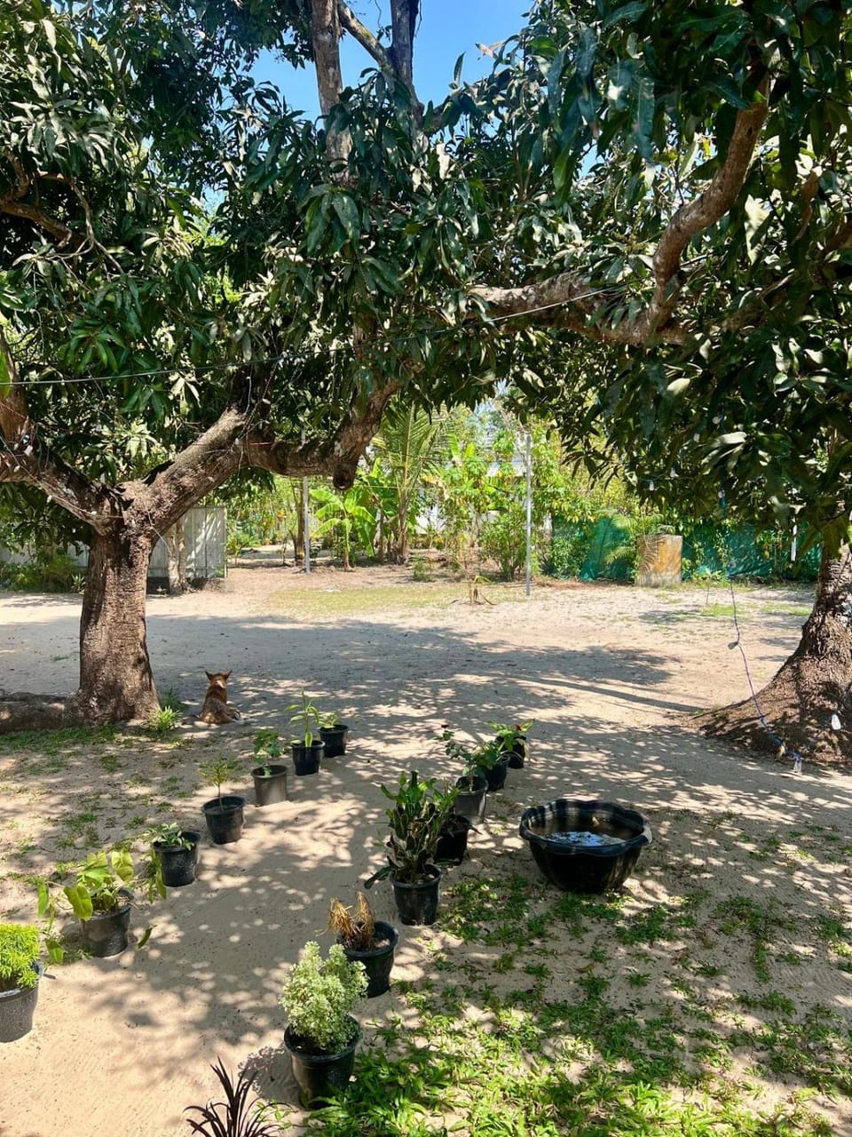 Garden, Garden view