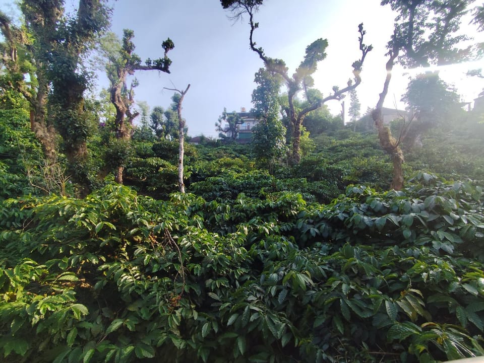 RajPari Stay Vacation rental in Madikeri