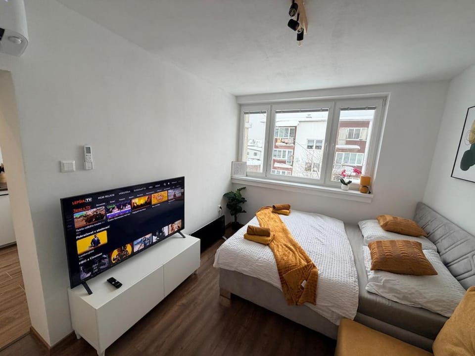 Cozy apartment in the heart of Terchova with great location Apartment in Slovakia