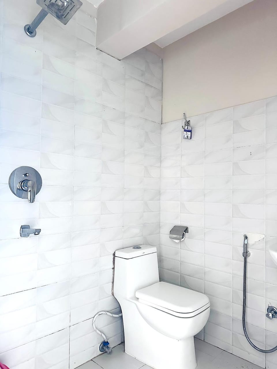 Shower, Bathroom, bidet