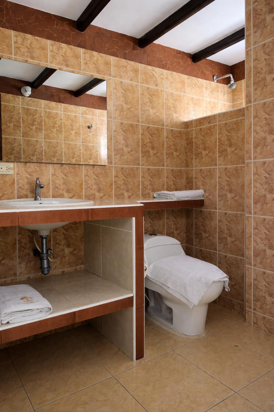 Toilet, Bathroom, towels