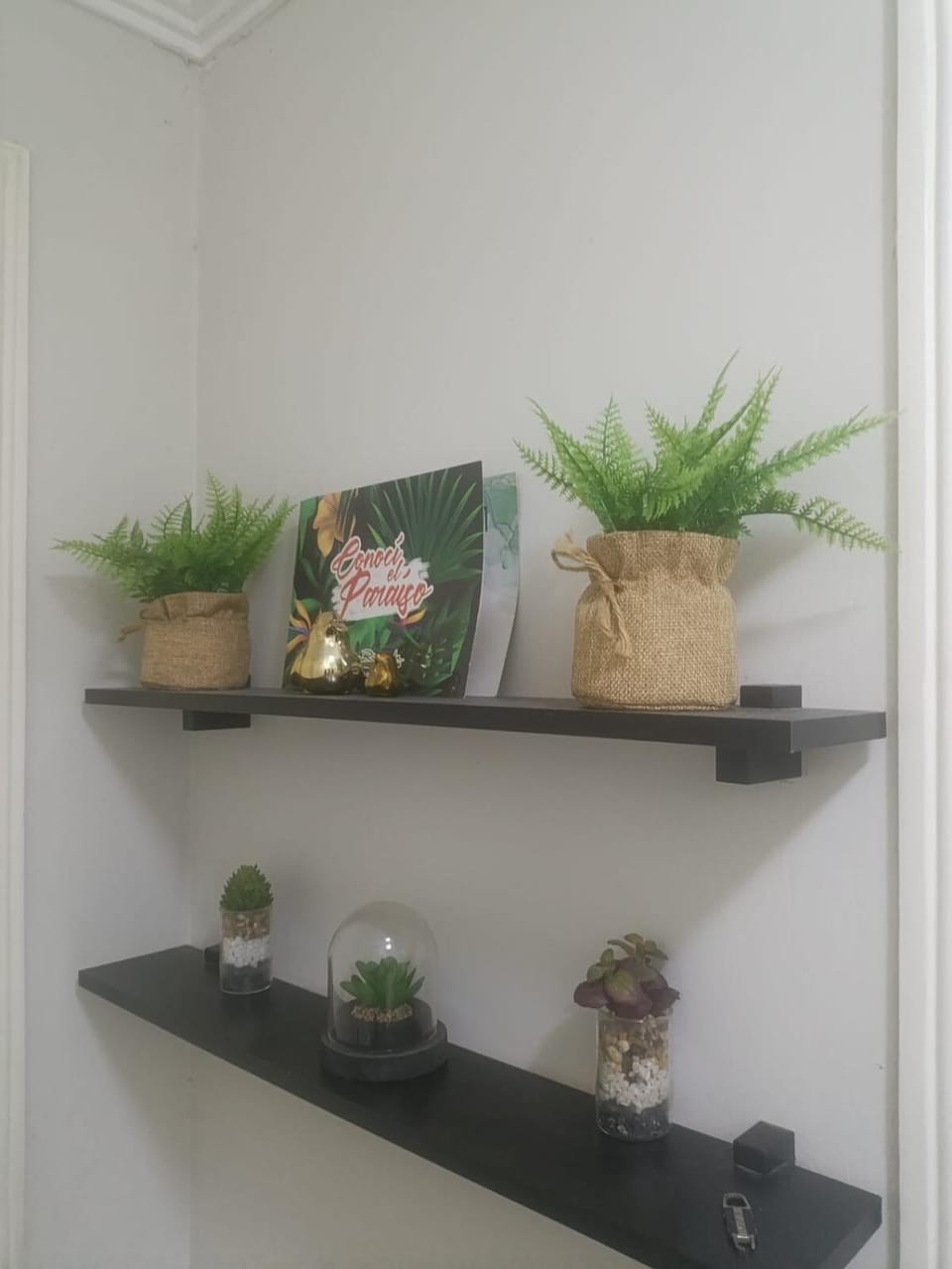 Beautiful apartment in Condominio Buganvillas Apartment in Santa Cruz de la Sierra